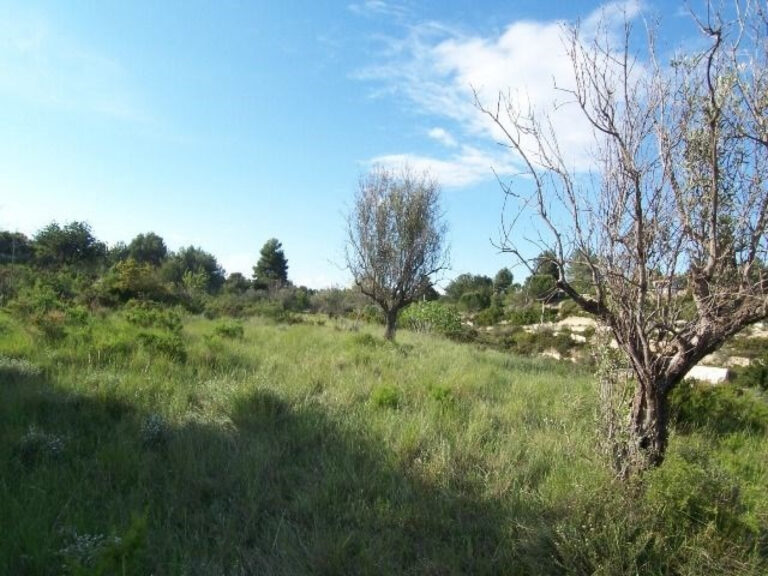 Terreno Rústico De Unos 8000 M2 En La Fuente De La Virgen . Buñol-alborache