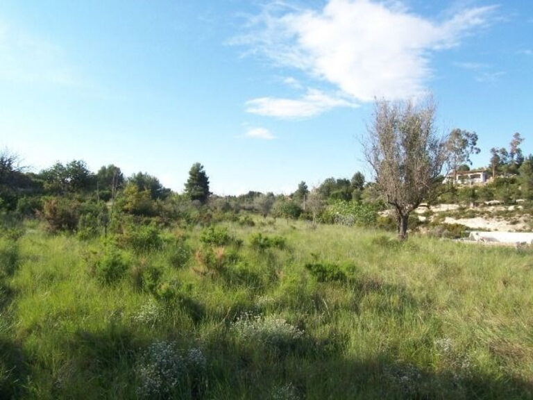 Terreno Rústico De Unos 8000 M2 En La Fuente De La Virgen . Buñol-alborache