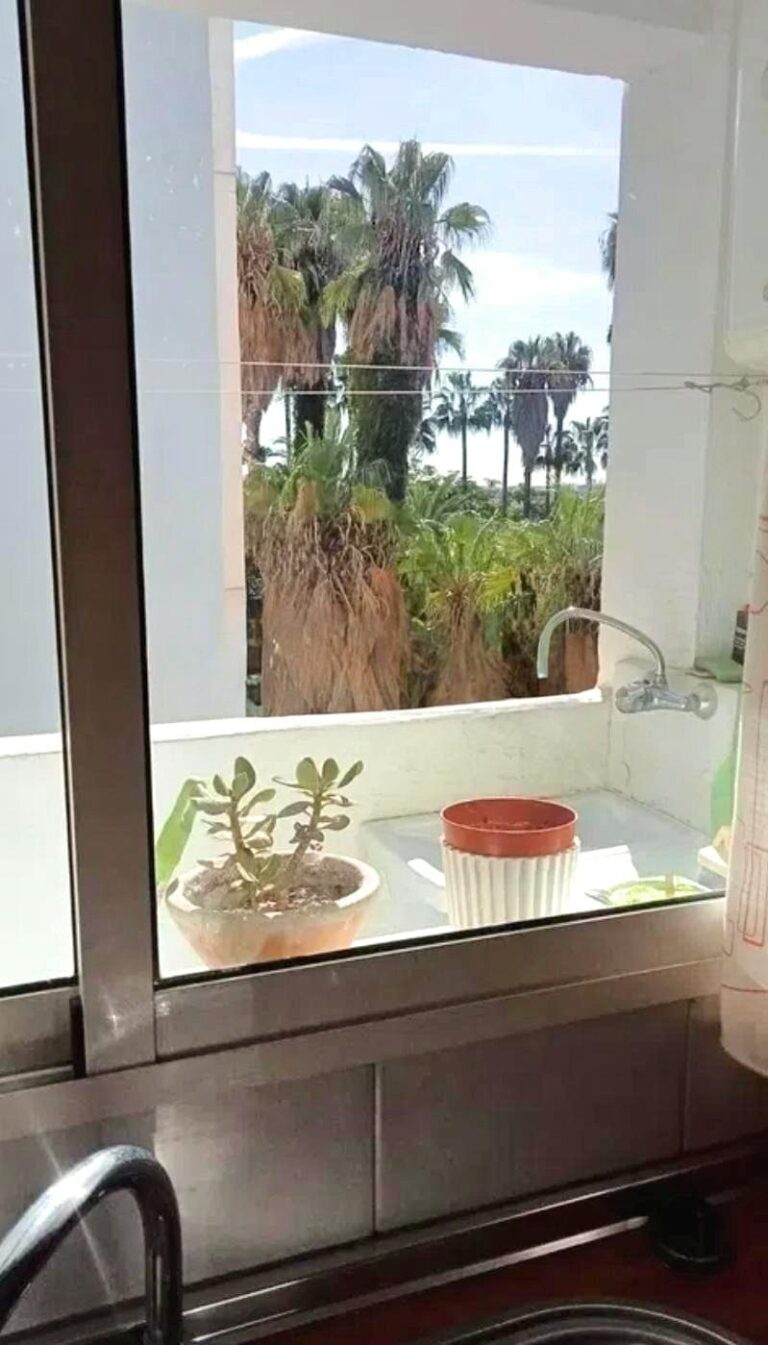 Espacio, Independencia Y Luz Natural En El Centro De Rocafort