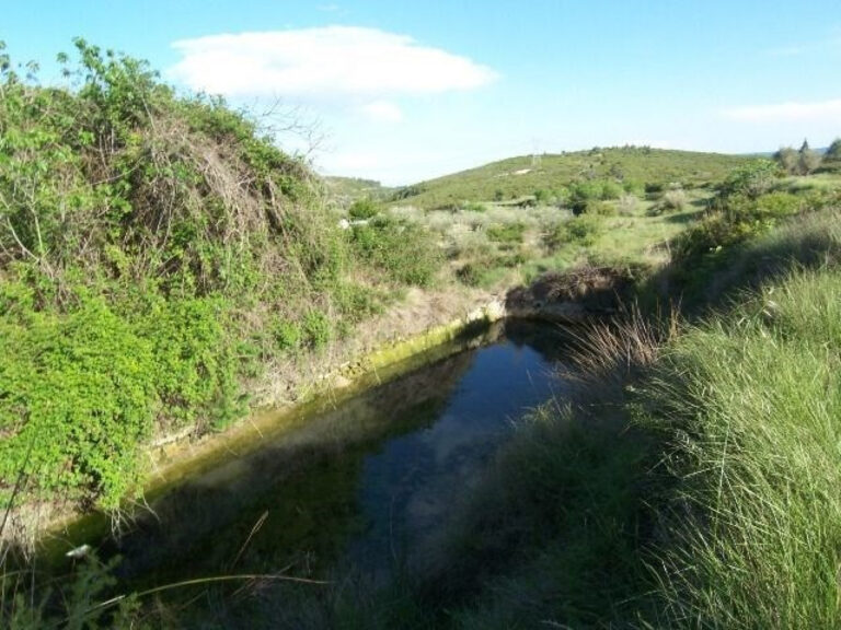 Terreno Rústico De Unos 8000 M2 En La Fuente De La Virgen . Buñol-alborache