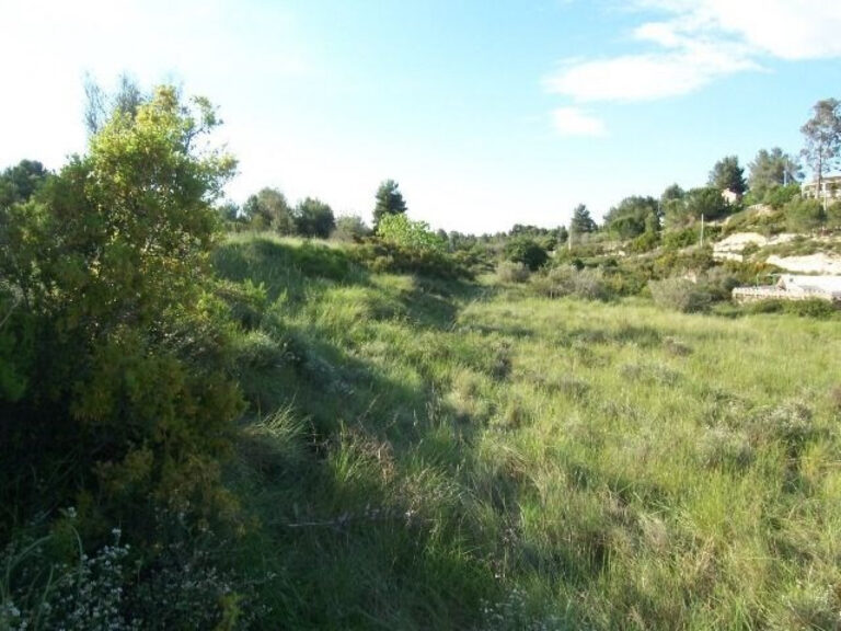 Terreno Rústico De Unos 8000 M2 En La Fuente De La Virgen . Buñol-alborache