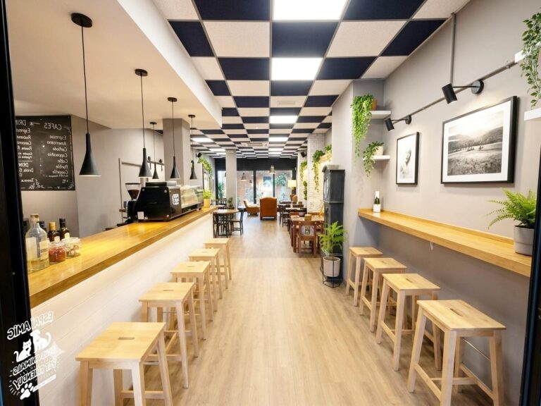 Bar-cafetería En Traspaso En Benimaclet. Licencia Definitiva, Cocina Y Terraza.