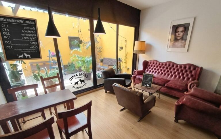 Bar-cafetería En Traspaso En Benimaclet. Licencia Definitiva, Cocina Y Terraza.